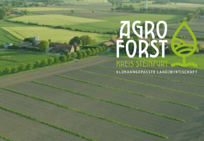 Agroforstsysteme im Kreis Steinfurt: Gehölzanbau als Beitrag für eine klimaangepasste Land(wirt)schaft