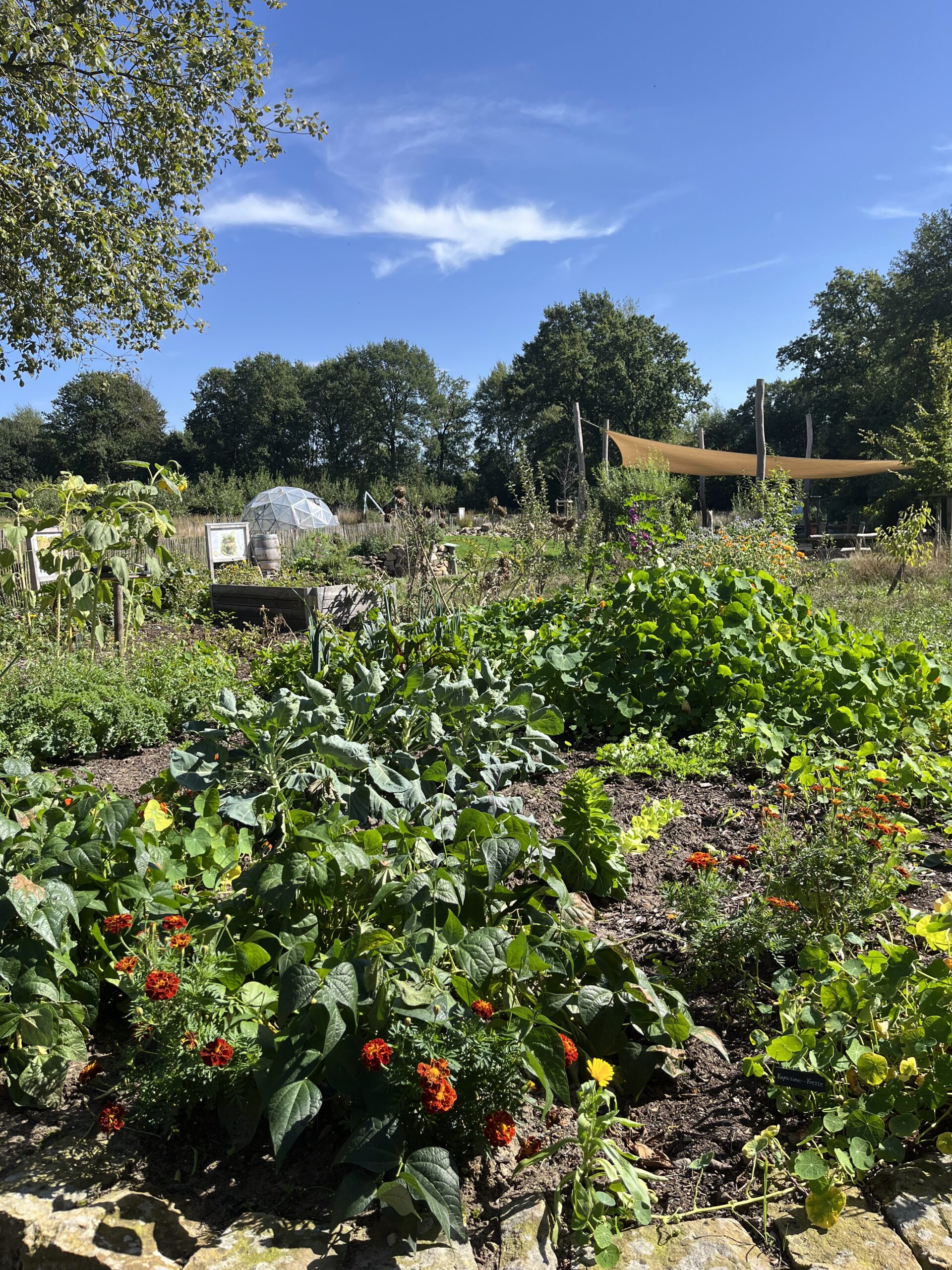 Lehrgarten Hof Lammers